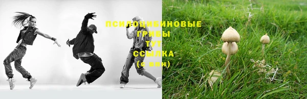 круглые Пестово