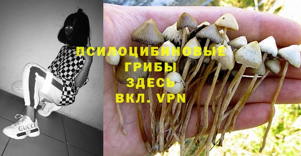 apvp Арсеньев
