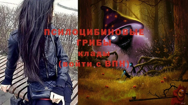 сатива Армянск