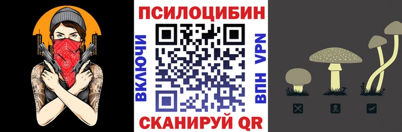 купить наркотик  Арск  Псилоцибиновые грибы GOLDEN TEACHER 